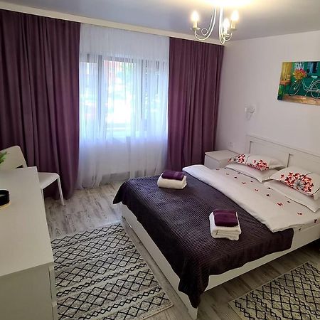 La Fluturi Apartament Lejlighed Suceava Eksteriør billede